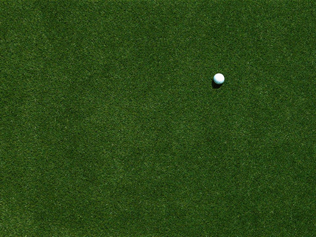 Golf ball on a short cut lawn.